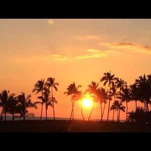 Meet your Posher, Joelle